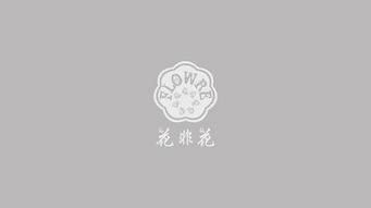 平面設(shè)計(jì)的視覺語言 從核心圖形到樣機(jī)展示的魅力呈現(xiàn)